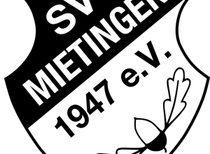 Tribünendacherweiterung
