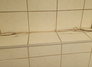 Das Geld muss flies(s)en - Sanierung WC-Anlagen Hubertussaal Straberg