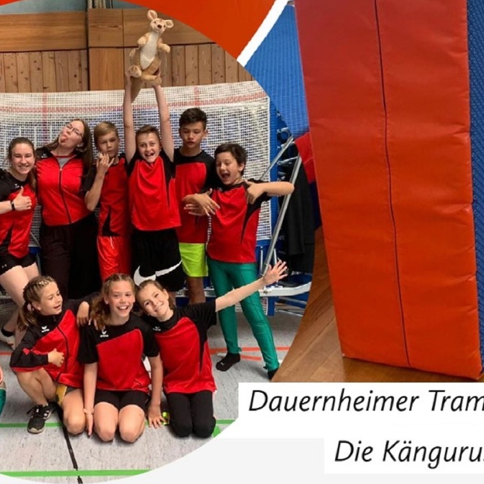 Sicherheitsmatten für die Trampolin-Kids der Kängurus