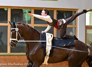 Neues Voltigierpferd für den RSV Neuss-Grimlinghausen e.V.