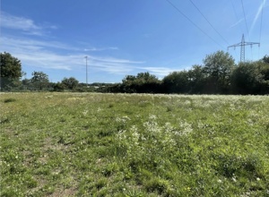 Aus Rot wird Grün - Projekt "Kunstrasenplatz" beim VSV Büchig