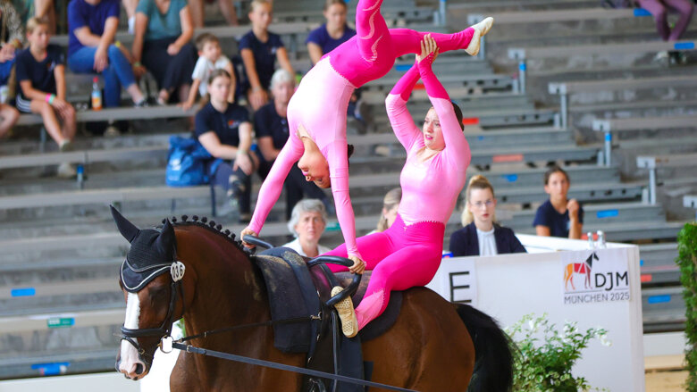 Große Ansicht vom Video