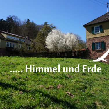 Der Falkenhof – Auszeit zwischen Himmel und Erde