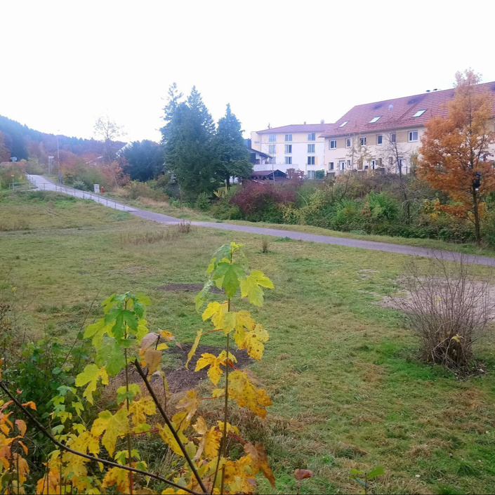 Spielgeräte für die Riviera Miesbach