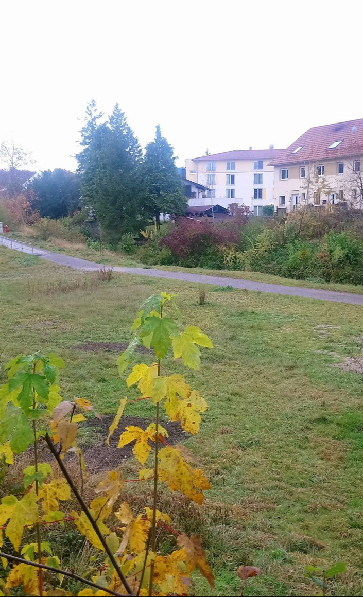 Spielgeräte für die Riviera Miesbach