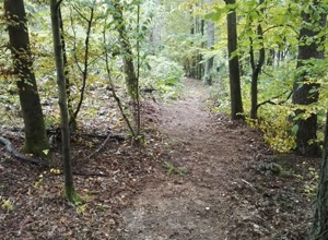 Flowtrail Burgsinn