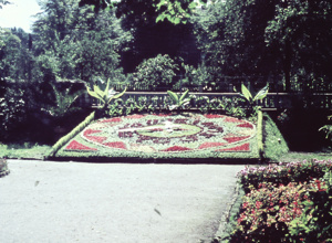 Blumenuhr 2021