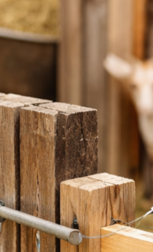 Arbeitsgrundlagen sichern – damit Tiere versorgen und Kinder mithelfen