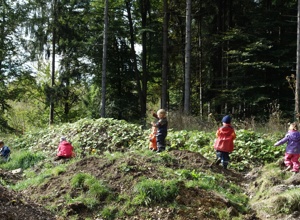 Gründung einer naturpädagogischen Waldgruppe Waldorfkinderhaus Tutzing