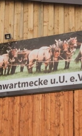 Erhaltung Schulbetrieb