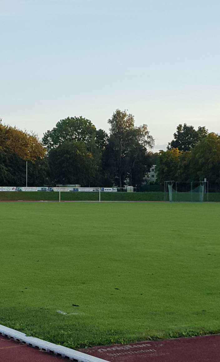 Trainingsgeräte Kraftraum TSV MOD