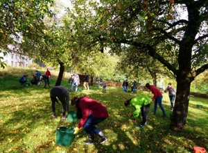 Sitzmöglichkeiten für die Streuobstwiese am GymSL