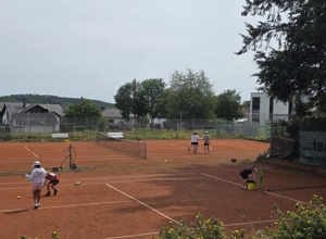 Notfallsanierung des Vereinsheims