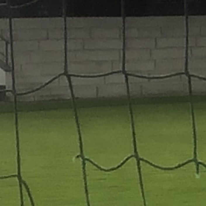 Ballfangzaun erneuern  - hoch und weid is an Fußballer sei Freid!