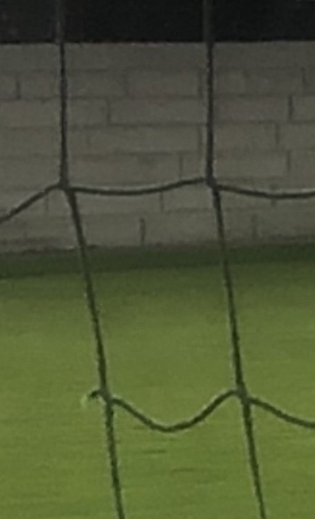 Ballfangzaun erneuern  - hoch und weid is an Fußballer sei Freid!