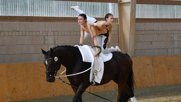 Rententraum &amp;amp; Pferdewunsch: unterstütze unseren Neuanfang!