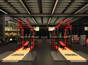 Power Rack für den Kraftraum Henger SV