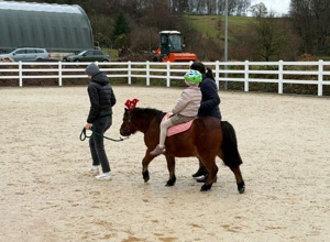 Abziehgerät für den Reitplatz des RZV Alftal