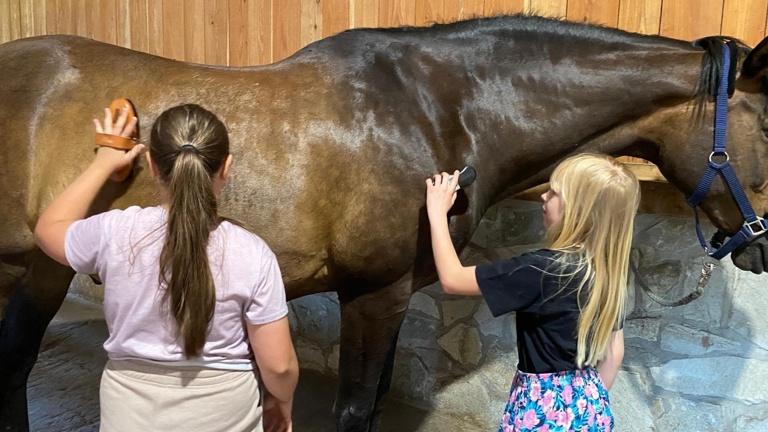 Mit Pferden stark – Ausbildung für tiergestützte Inklusion