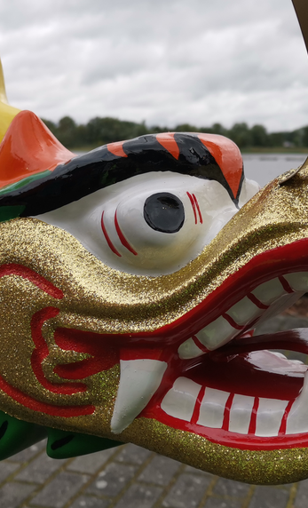 Ein neues Drachenboot für den 1. Halleschen Drachenbootverein  e.V.