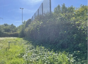 Aus Rot wird Grün - Projekt "Kunstrasenplatz" beim VSV Büchig