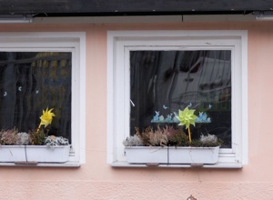 Austausch maroder Fenster am Hundehaus