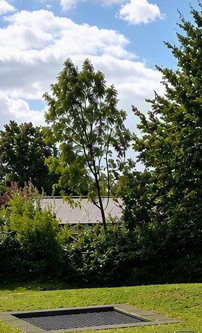 Trampolin am Spielplatz Haselbusch Rixbeck