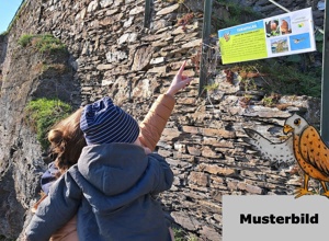 Lieserer Rundweg "WeinbergsVIELFALT"