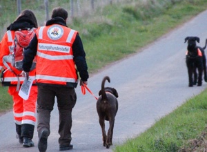 Hunde retten Menschen.