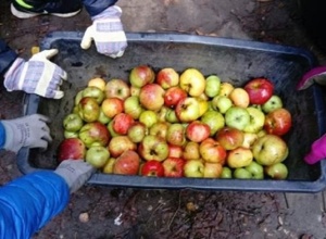 Ausbau der "Garten- und Lernwerkstatt" -  Montessorischule Forchheim