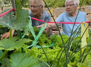 Neuer Sonnenschutz für den Innenhof der Senioren-Tagespflege, Walldürn