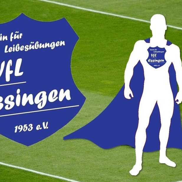 Werde Held / Heldin des VfL!