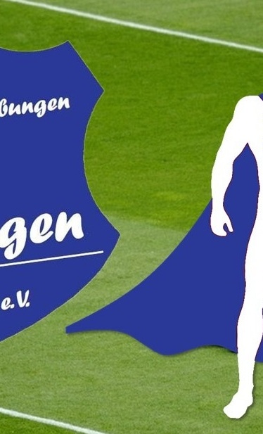 Werde Held / Heldin des VfL!