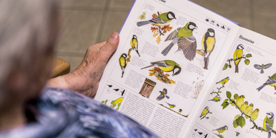 Senioren entdecken die Vogelwelt