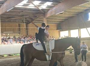 Pegasus Mühlacker - Neues Voltigierpferd