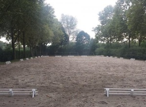 Neuer Hallenplaner