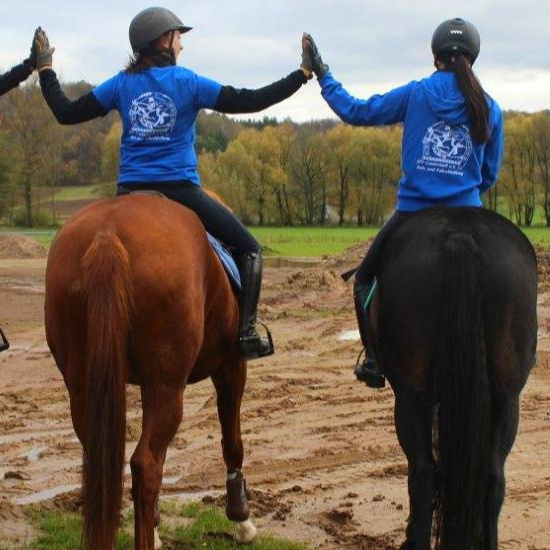 Reitplatzsanierung und –erweiterung