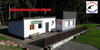 Dachsanierung Hämmelheim