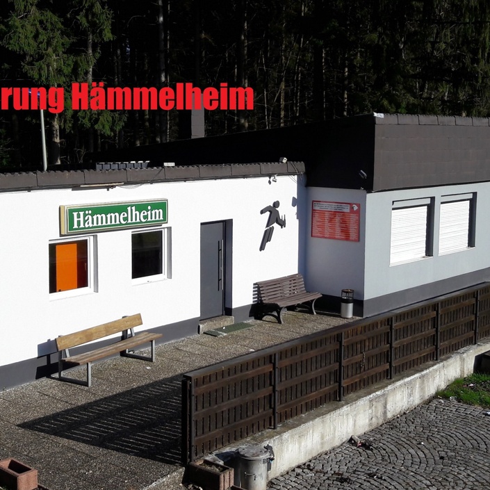 Dachsanierung Hämmelheim