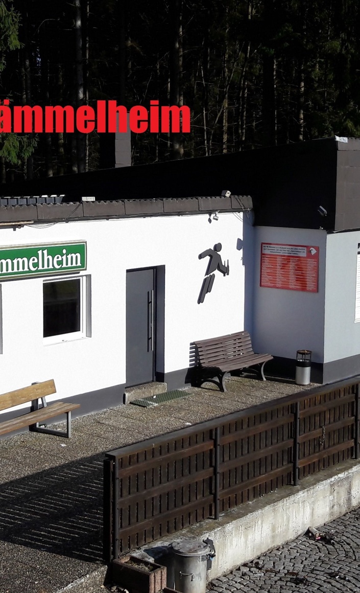 Dachsanierung Hämmelheim