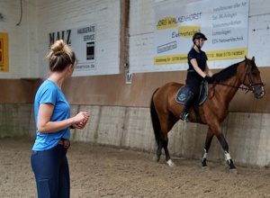Sanierung des Reithallenbodens
