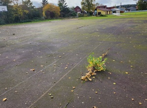 Barrierefreie Multifunktionsanlage am Sportgelände Dürrwangen