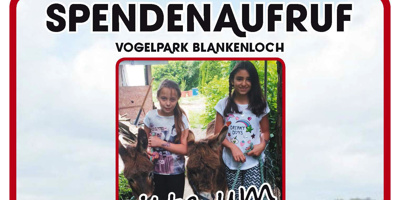Spendenaufruf für die Eseldamen Bonnie & Clyde