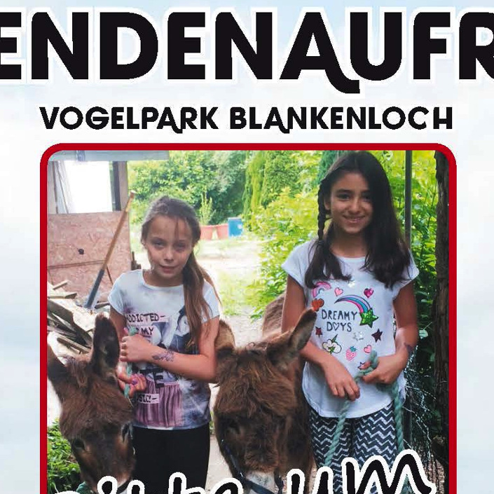 Spendenaufruf für die Eseldamen Bonnie & Clyde