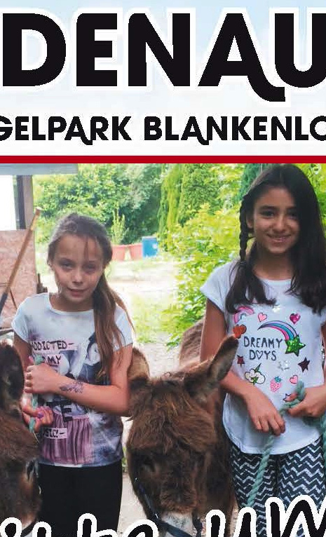 Spendenaufruf für die Eseldamen Bonnie & Clyde