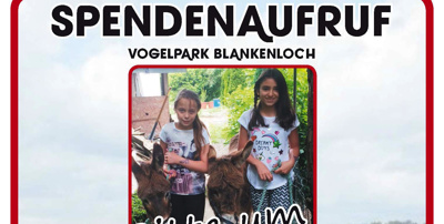 Spendenaufruf für die Eseldamen Bonnie & Clyde