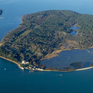 Du erhälst eine Postkarte von Brownsea Island