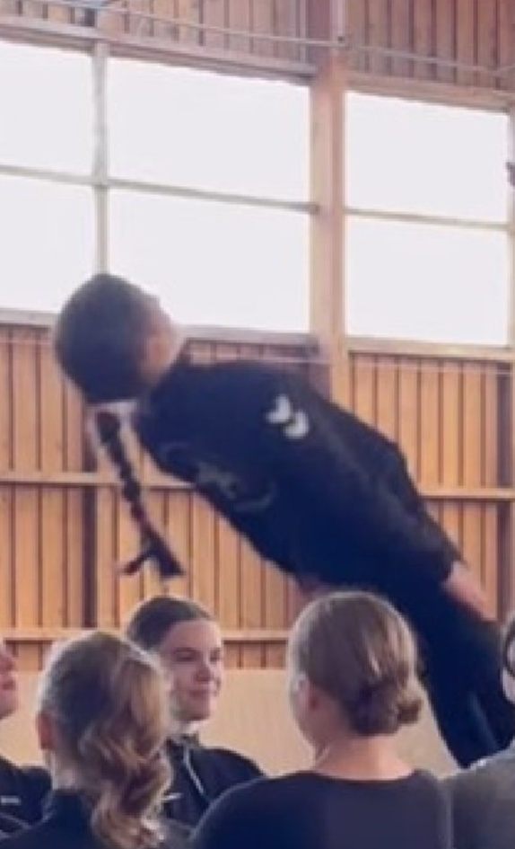Neues Schulpferd für unsere Jugend - gemeinsam wird es möglich