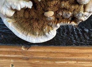 Schwamm drüber! Nicht mit uns.