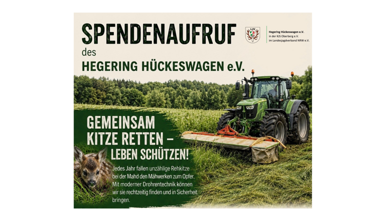 Große Ansicht vom Video